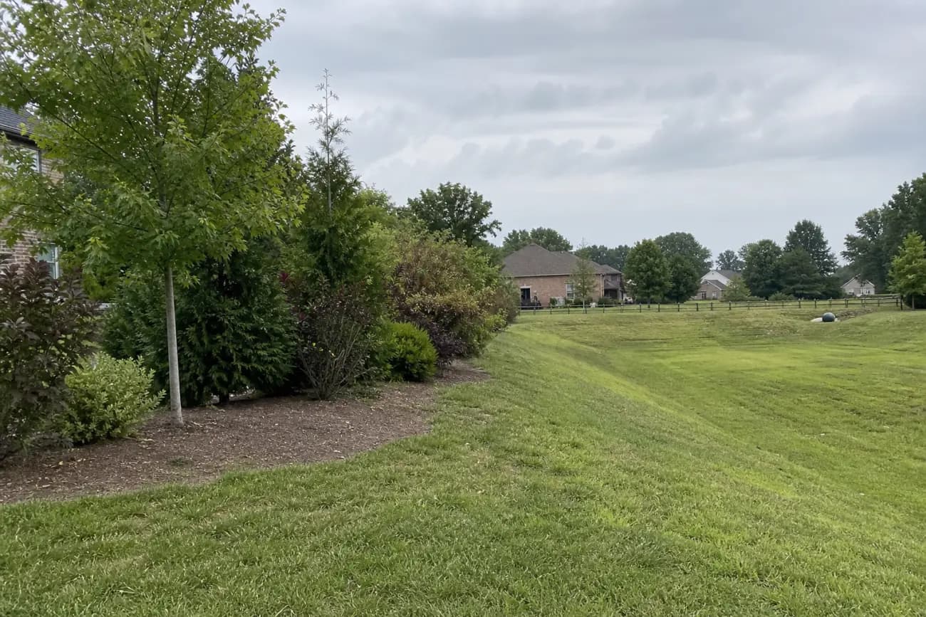 HOA detention berm area with privacy buffer planting