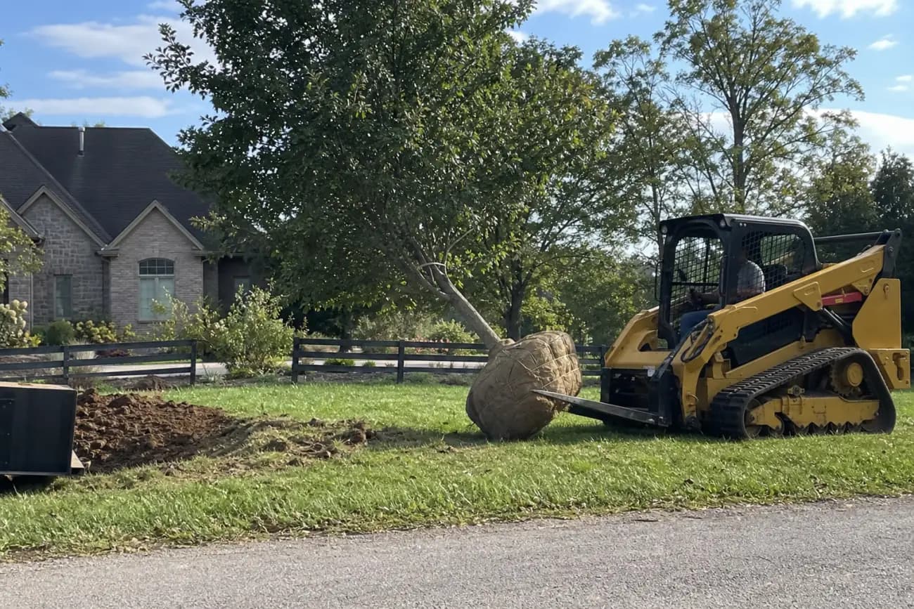 Equipment used for residential large tree installation