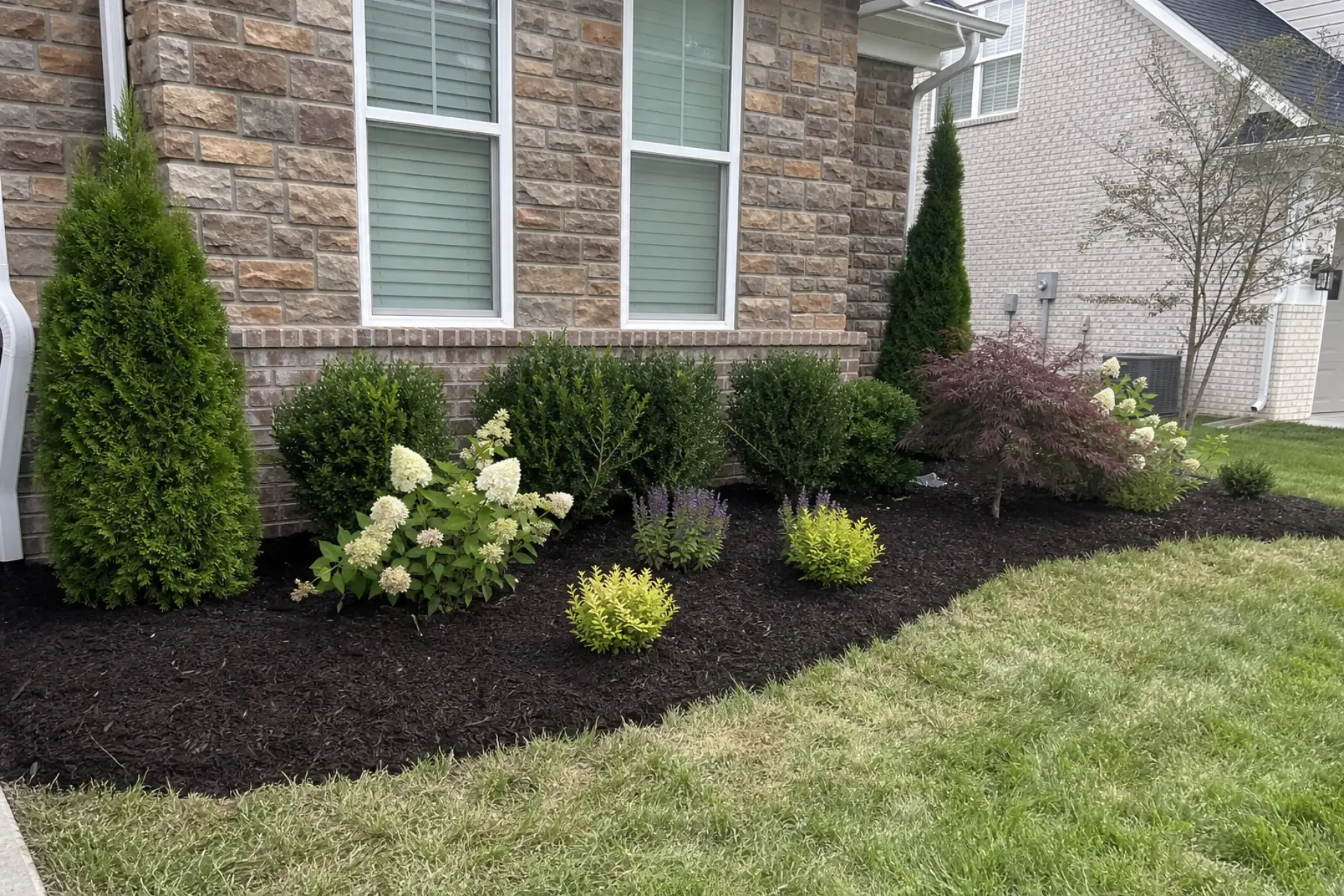 Finished foundation bed with newly planted shrubs and mulch