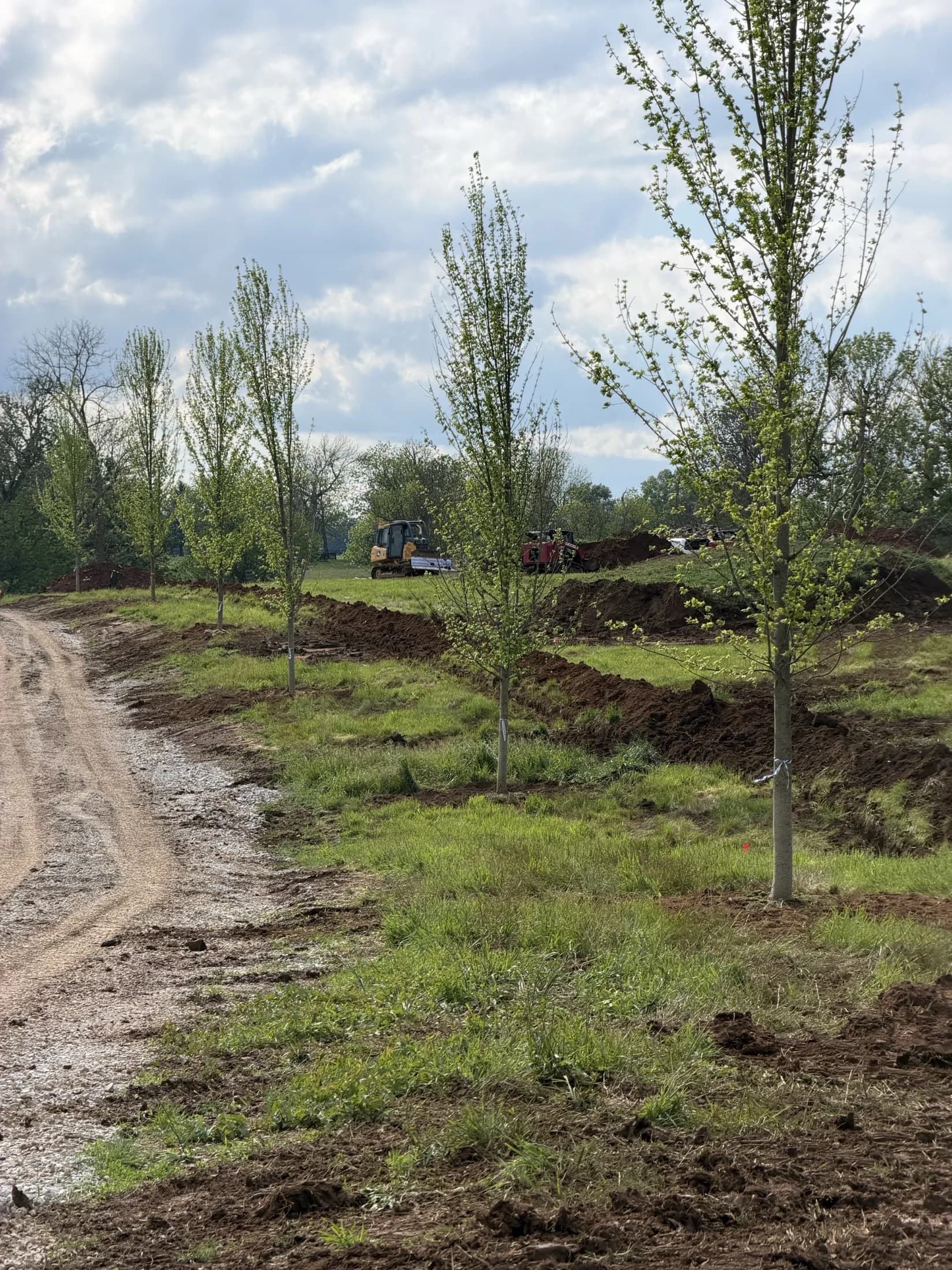 Farm tree planting project in Paris, Kentucky with rows of newly installed trees and equipment on site