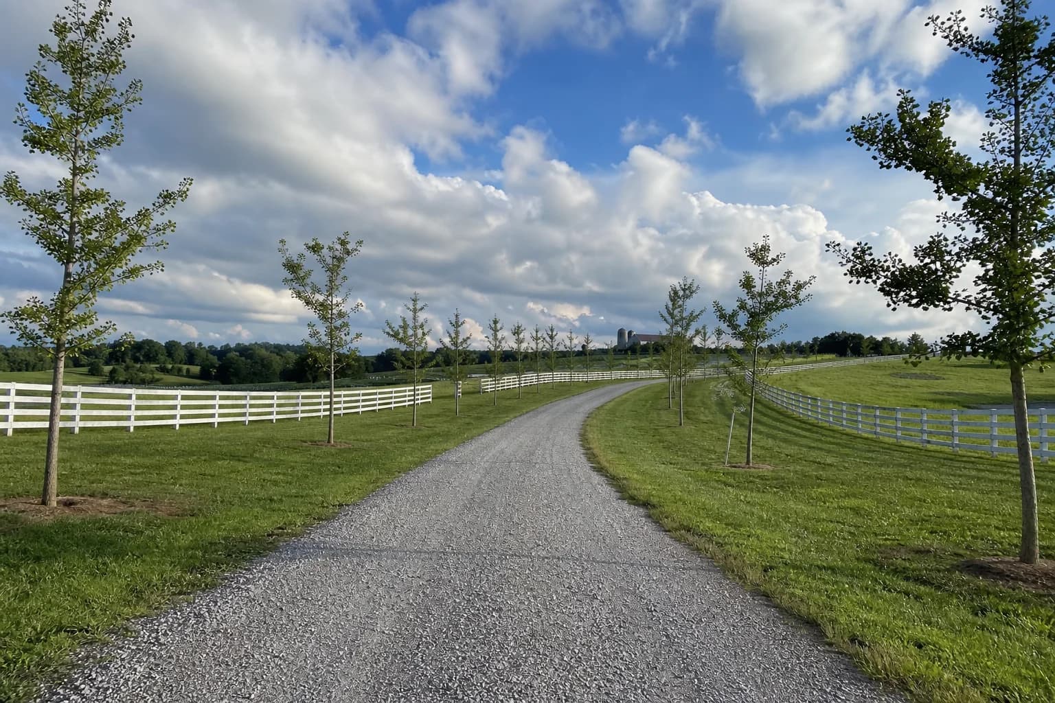 Estate and farm tree planting project with open property and mature landscape scale