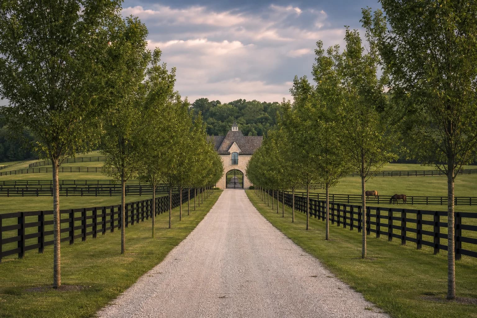 Estate driveway tree planting concept with rows of trees along an open drive