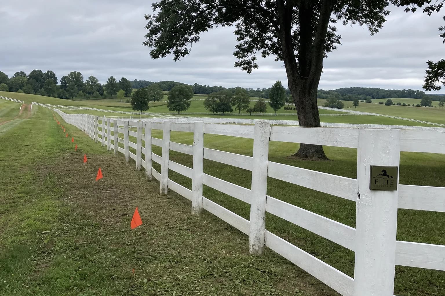 Field planning flags for estate and farm tree planting layout