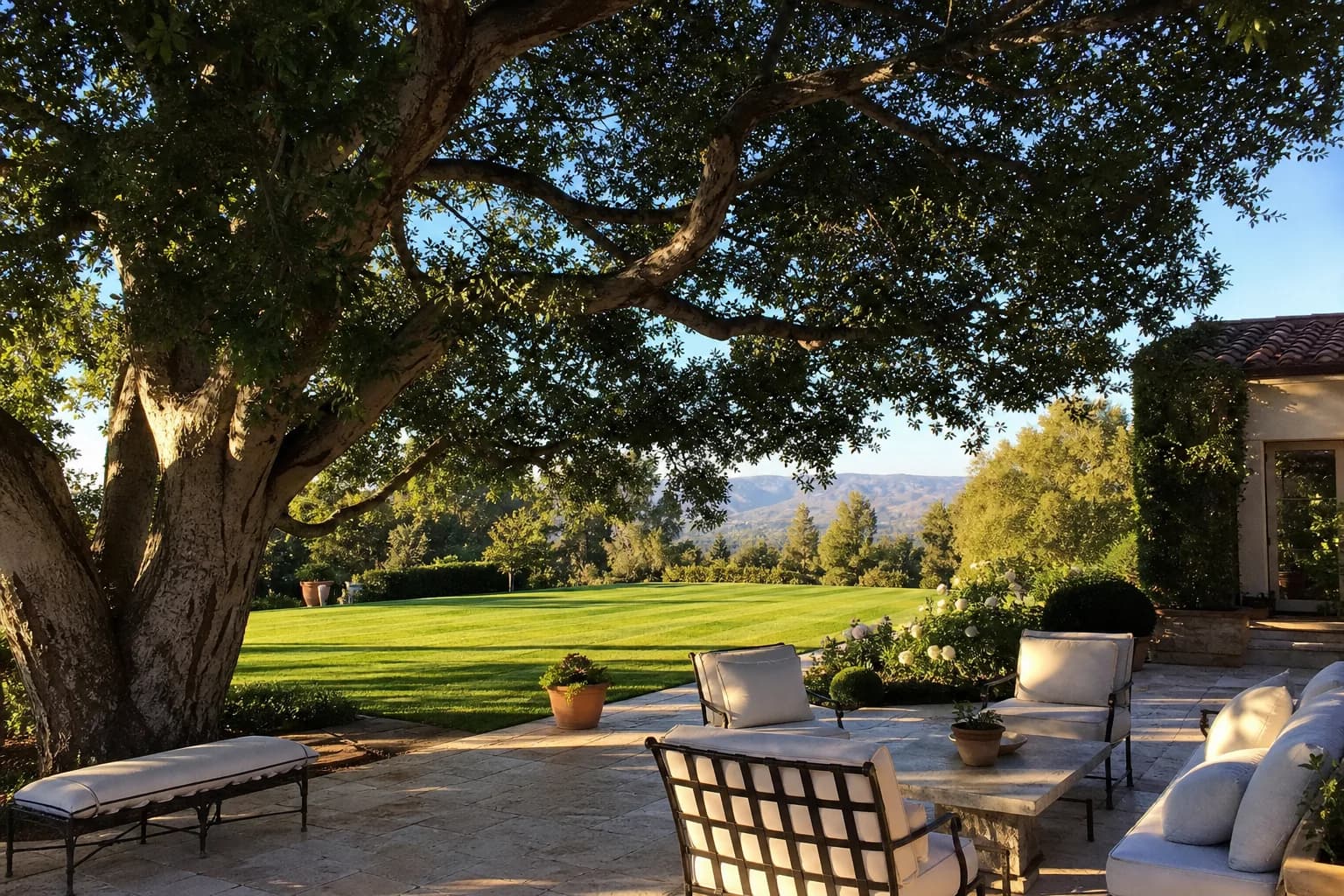Large mature tree creating shade and finished property scale
