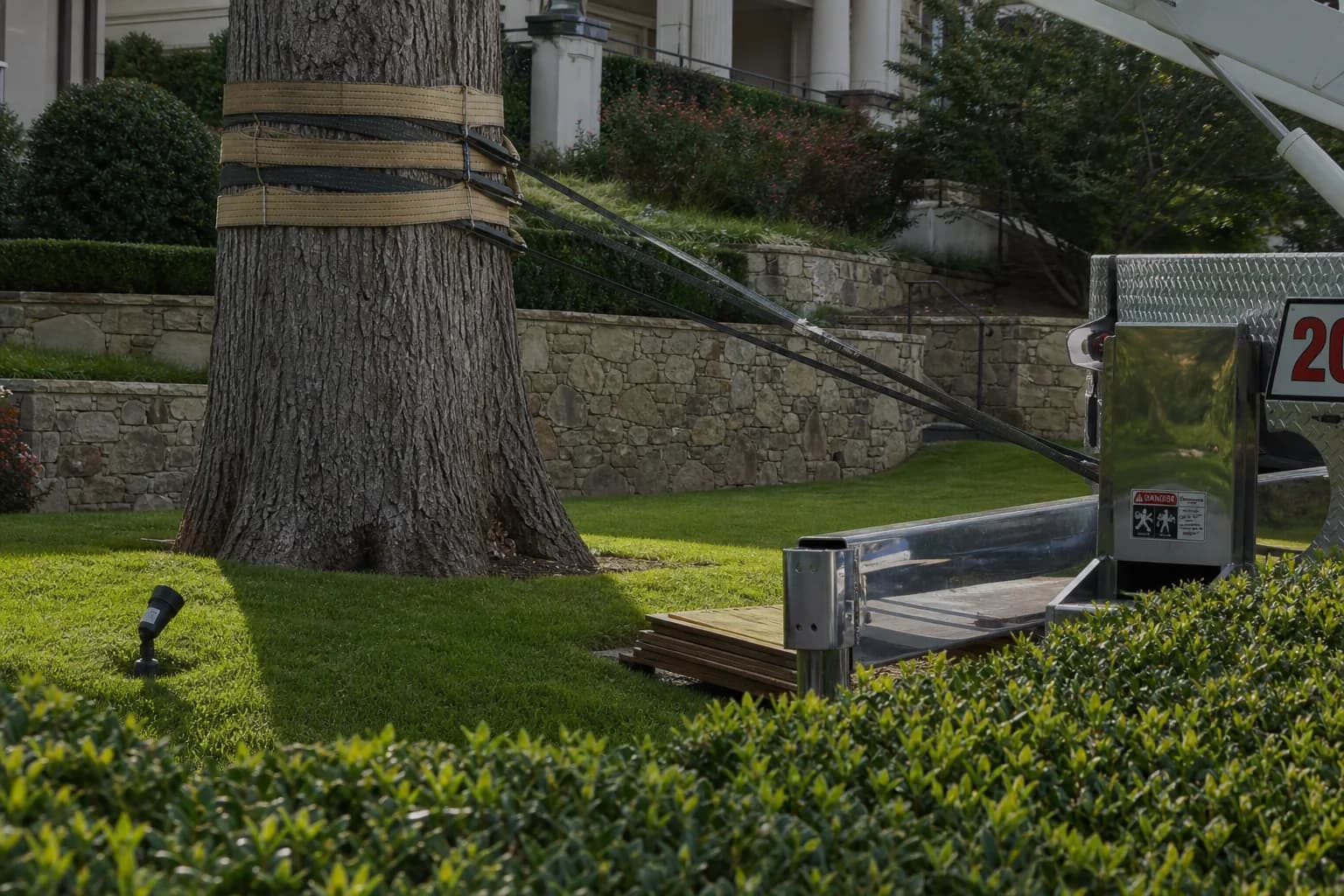 Large tree installation equipment and straps used to handle a heavy root ball