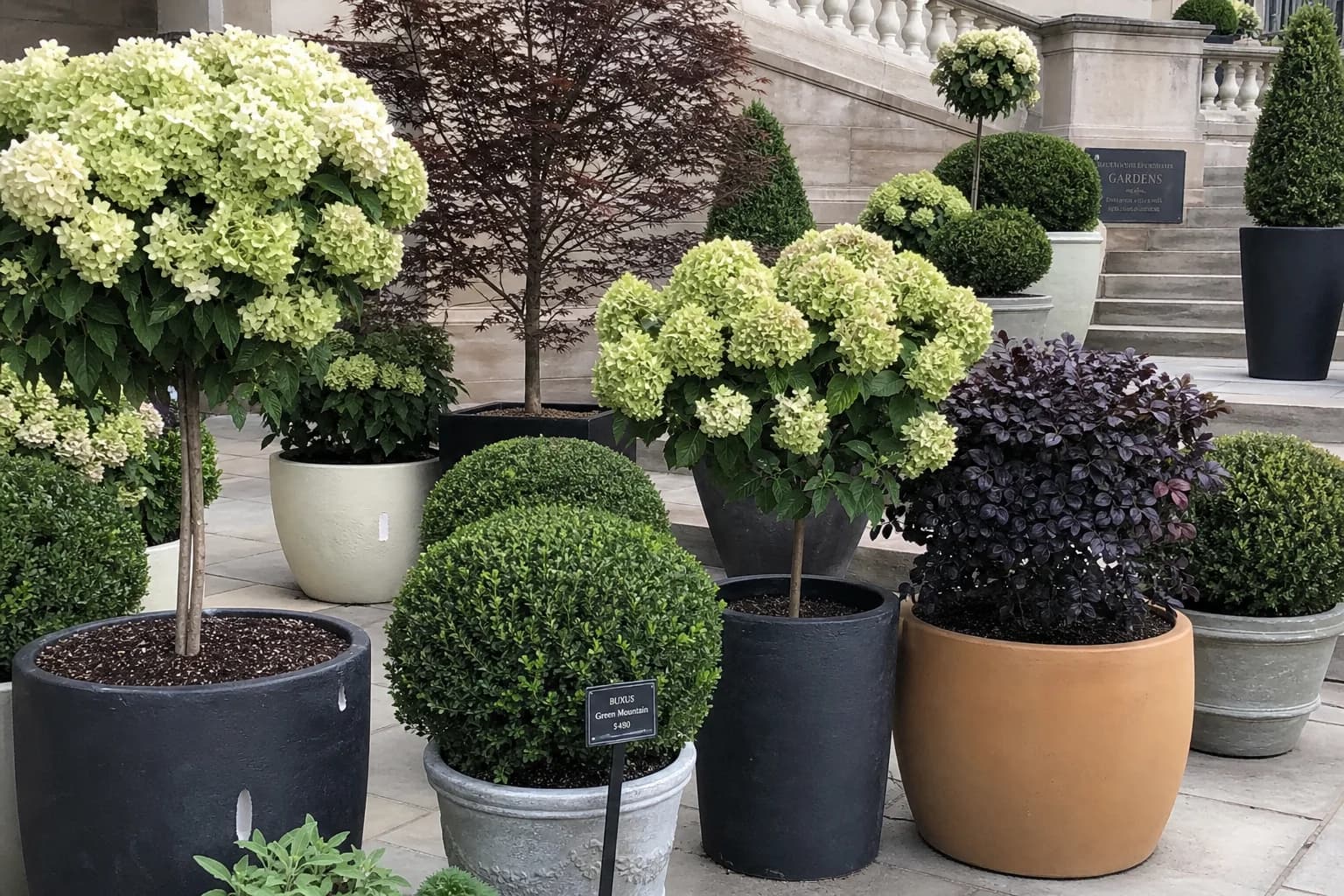 Shrubs and landscape plants in pots ready for planting